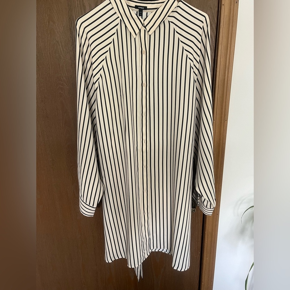 Express Black and White Striped Button Down Shirt